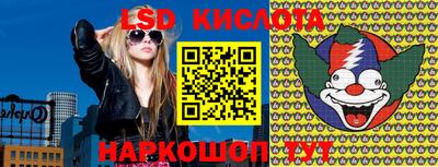 шишки Лесосибирск