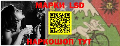 шишки Лесосибирск