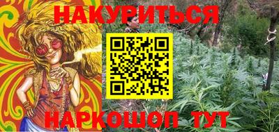 шишки Лесосибирск