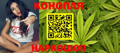 шишки Лесосибирск